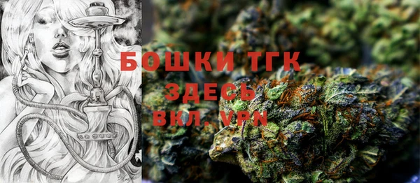 PSILOCYBIN Няндома