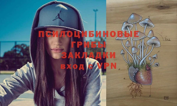 PSILOCYBIN Няндома