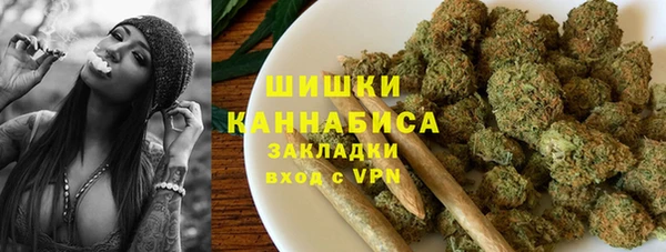 PSILOCYBIN Няндома